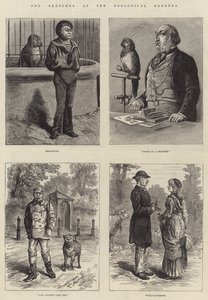 Bocetos Extraños en el Zoológico de Johann Nepomuk Schonberg