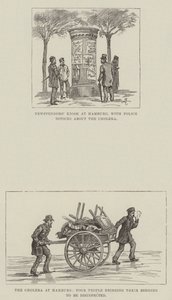 El cólera en Hamburgo