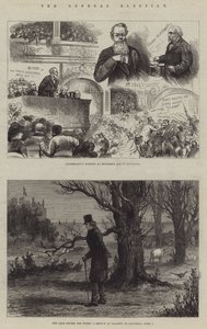 La Elección General de Johann Nepomuk Schonberg