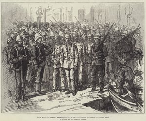 La guerra en Egipto, prisioneros de la guarnición egipcia en Port Said de Johann Nepomuk Schonberg