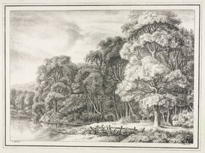 Woodland Scenery with Lake