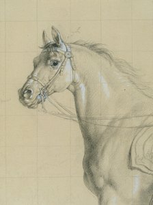 Estudio de caballos para "Archiduque Karl con su personal en la batalla de Aspern" de Johann Peter Krafft