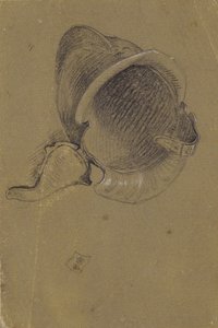 estudio de un casco de Johann Peter Krafft