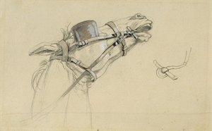 Estudio de la cabeza de un caballo para "Return of Emperor Franz from Pressburg" de Johann Peter Krafft
