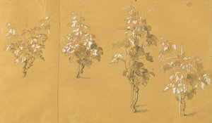 Weinstock, Estudio para "Hermann y Dorothea en el viñedo" de Johann Peter Krafft