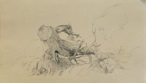 Sistema de raíces, árbol caído de Johann Peter Krafft