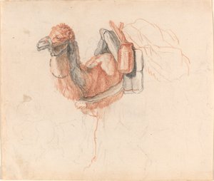 Camello