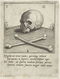 Representación de Vanitas con una calavera y dos huesos