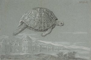 Estudio de una tortuga y vista de una ciudad fortificada junto al mar (Venecia) de Johann Salomon Wahl