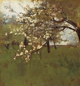 Manzano en flor (óleo sobre lienzo) de Johann Sperl