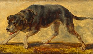 estudio de perros de Johann  Till der Jüngere