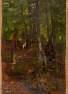 paisaje forestal de Johann  Till der Jüngere