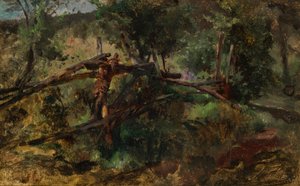 Camino forestal con valla de Johann  Till der Jüngere
