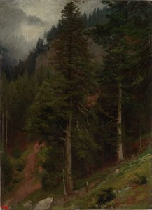 Pendiente en el bosque de abetos de Johann Wilhelm Schirmer