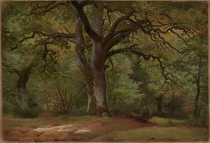 Bosque de robles en el Solling de Johann Wilhelm Schirmer