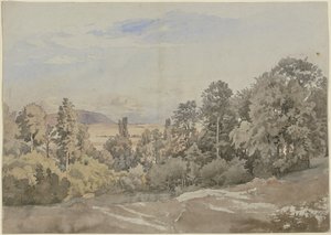 Bosque con vista lejana de Johann Wilhelm Schirmer