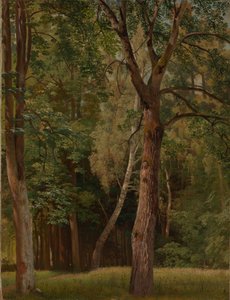 Bosque de frondosas con castaños y abedules de Johann Wilhelm Schirmer