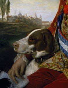 Perro (detalle) de Johann Zoffany