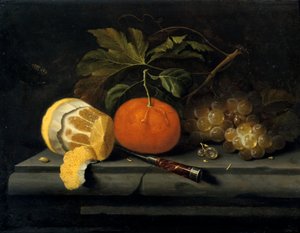 Frutas en una mesa de piedra, c1653-1659 de Johannes Borman
