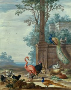 Un paisaje de estilo italiano con pavo real, faisán, flamenco y otras aves (gouache) de Johannes Bronckhorst