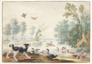 Un perro y patos junto al lago