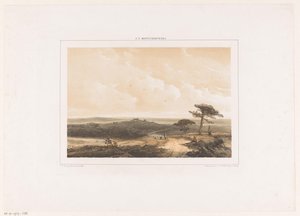 Paisaje de brezales con excursionista descansando y pastor con rebaño de Johannes Franciscus Hoppenbrouwers