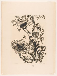 Studie papavers (título original del objeto) de Johannes Frederik Engelbert ten Klooster (signed by artist)