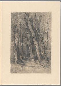 Paisaje forestal cerca de Delden de Johannes Gijsbert Vogel