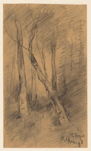 Paisaje forestal cerca de Wolfheze de Johannes Gijsbert Vogel