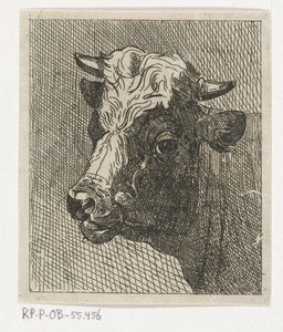 Cabeza de vaca a la izquierda