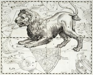 Leo, constelación zodiacal del León, ilustración tomada del atlas estelar Firmamentum Sobiescianum sive Uranographia de Johann Hevelius (1611-1687), Gdansk