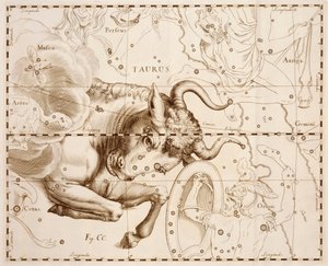 Tauro (signo del zodiaco), grabado de Firmamentum Sobiescianum sive Uranographia, catálogo estelar completo, por Johann Hevelius (1611-1687), impreso en Gdansk de Johannes Hevelius