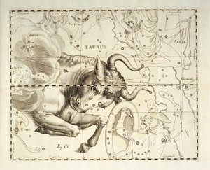 Tauro, constelación de Tauro, grabado del atlas celeste Firmamentum Sobiescianum sive Uronographia, de Johann Hevelius (1611-1687), Gdansk. de Johannes Hevelius