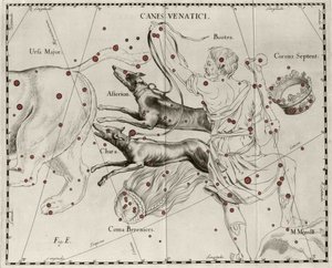 La constelación Canes Venatici, Perros de Caza. Lámina extraída de “Firmamentum Sobiescanum sive Uranographia” por Johannes Hevelius (1611-1687) de Johannes Hevelius
