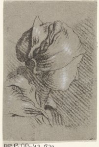 busto femenino de Johannes Janson (possibly)