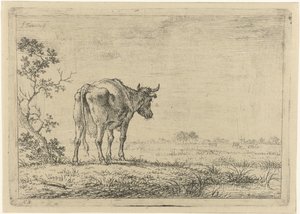 Vaca en pasto de Johannes Janson