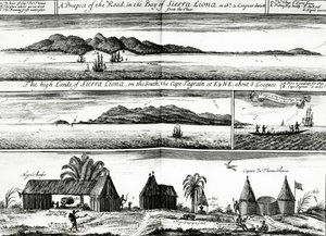 Una perspectiva del camino en la bahía de Sierra Liona, una ilustración del vol.5 de 