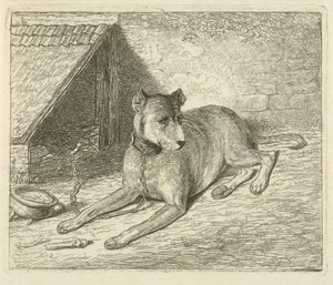 Perro en una cadena en una perrera de Johannes Mock