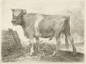 Caminos de Johannes Mock