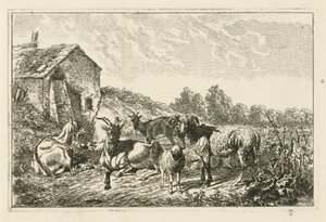 Cuatro cabras y una oveja junto a una casa. de Johannes Mock