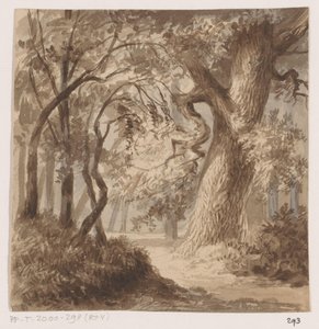 Paisaje forestal