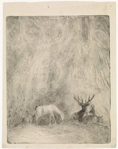 Ciervo en un bosque bohemio de Johannes Tavenraat