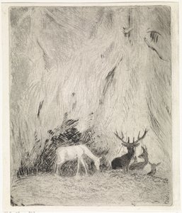 Ciervo en un bosque bohemio de Johannes Tavenraat