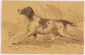Perro de caza de Johannes Tavenraat