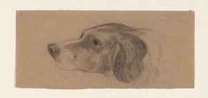 Cabeza de perro, a la izquierda de Johannes Tavenraat