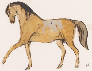 Caballo (recortado) de Johannes Tavenraat