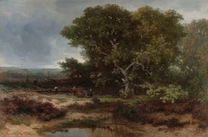 El brezal cerca de Wolfheze de Johannes Warnardus Bilders