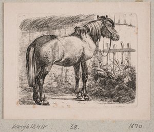 Un caballo con brida de Johannes Wilhelm Zillen