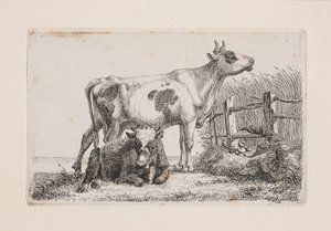 Una vaca descansando y otra de pie de Johannes Wilhelm Zillen