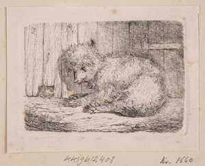 Un perro de pelo largo de Johannes Wilhelm Zillen